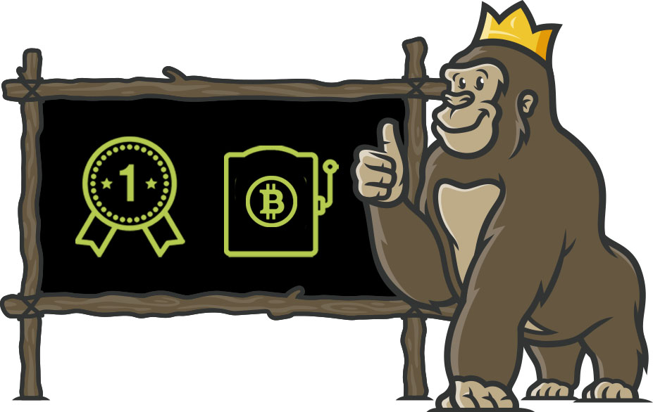 Choosing the Best Bitcoin Casino