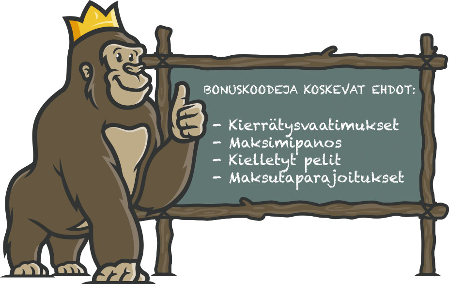 Bonusehdot koskevat myös bonuskoodeja